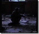 Ведется ответный огонь
